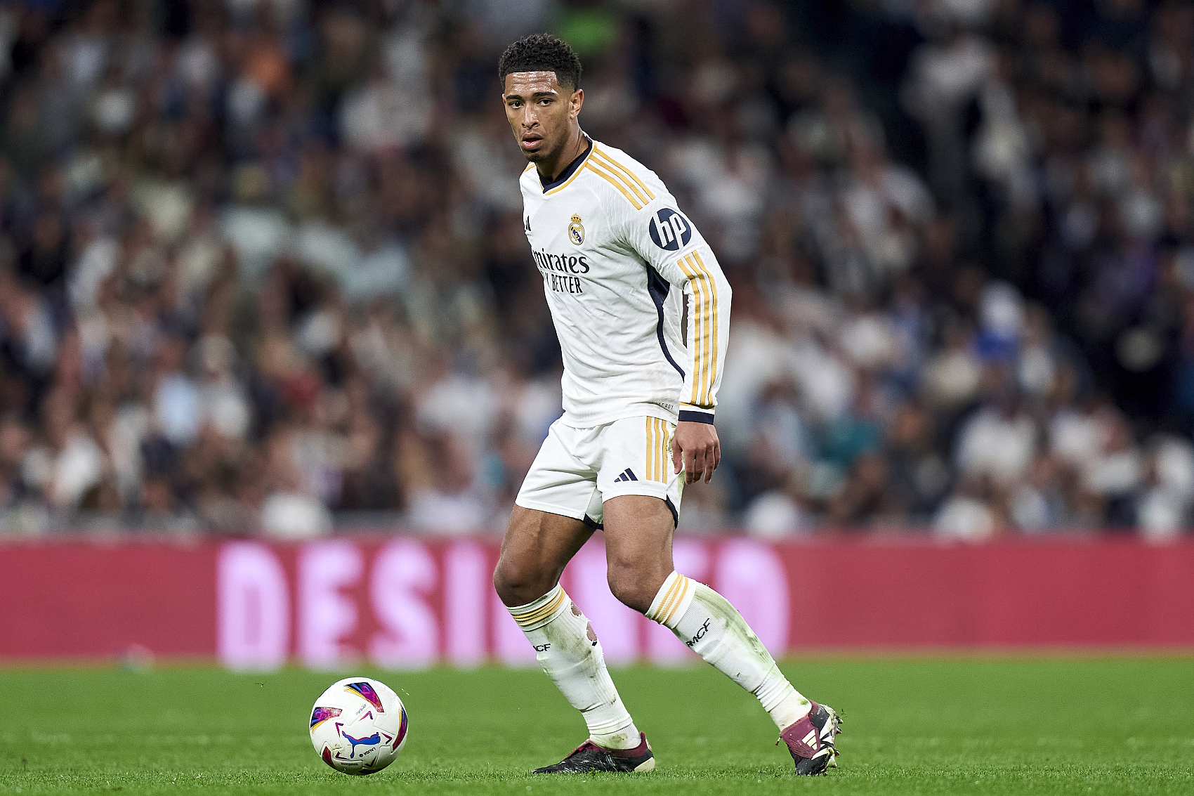 著名田径运 著名田径运